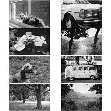 ILFORD Kentmere PAN 200 35mm ISO 200 Medium Speed Black & White Fine Grain Negative Film with 36 Exposures for Film Camera Photography