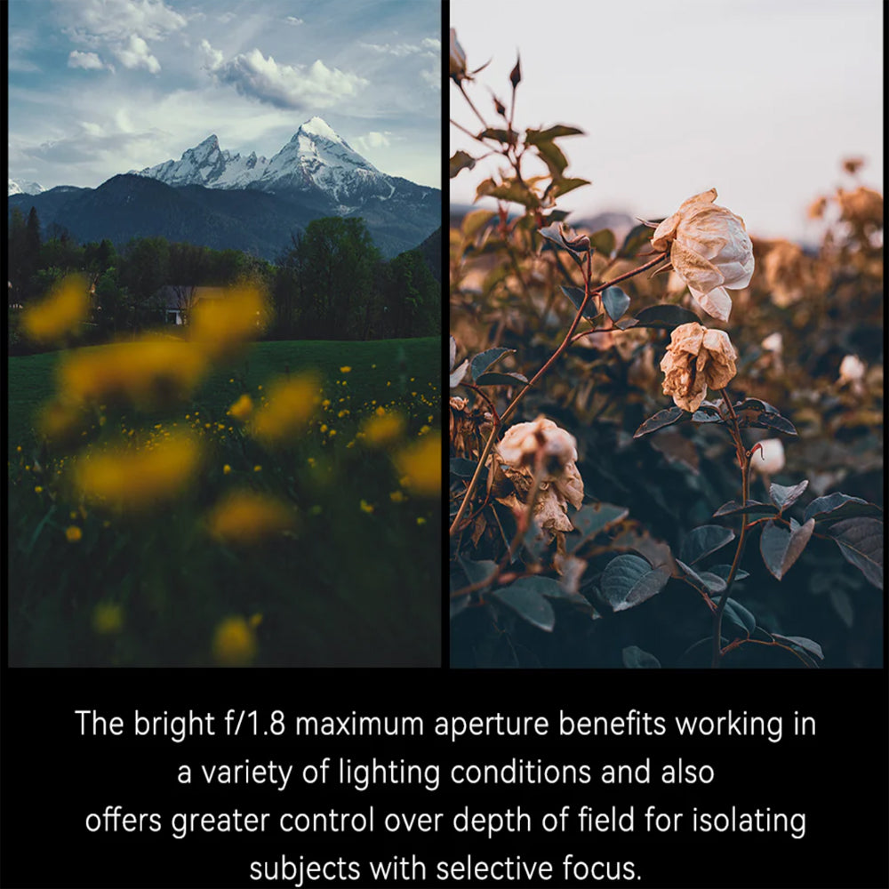 7Artisans 25mm F/1.8 APS-C Format M43 Micro Four Thirds Mount Compact Portrait Prime Lens MF Manual Focus for Mirrorless Cameras | Black Silver