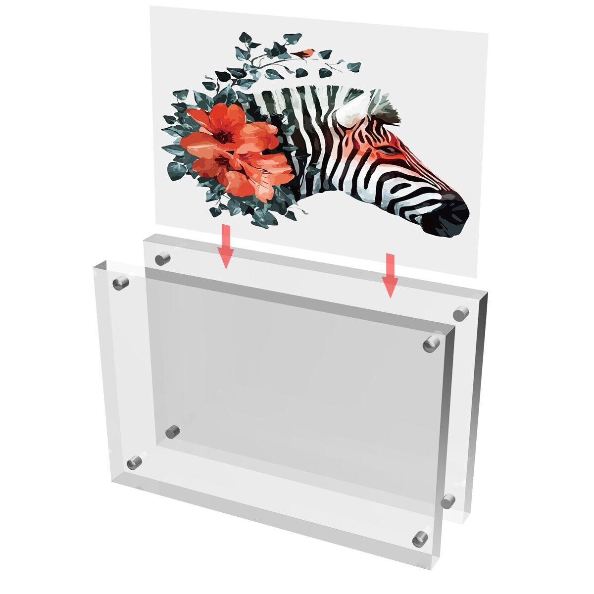 Pikxi 4R Clear Acrylic Magnetic Photo Frame 4x6 Inch, Double-Sided Picture Frame