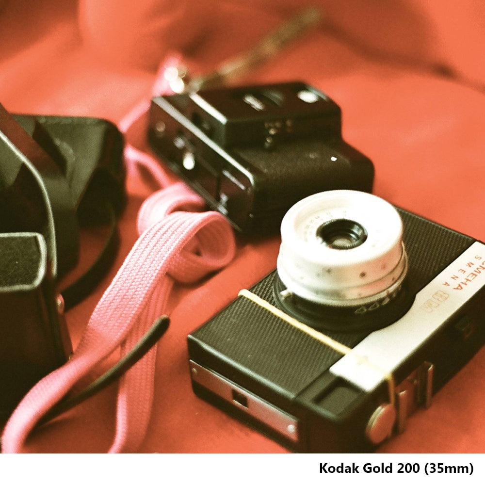 KODAK Gold 200 35mm Color Film Roll | 36 Exposures Shot for Photography | Expiry November 2026