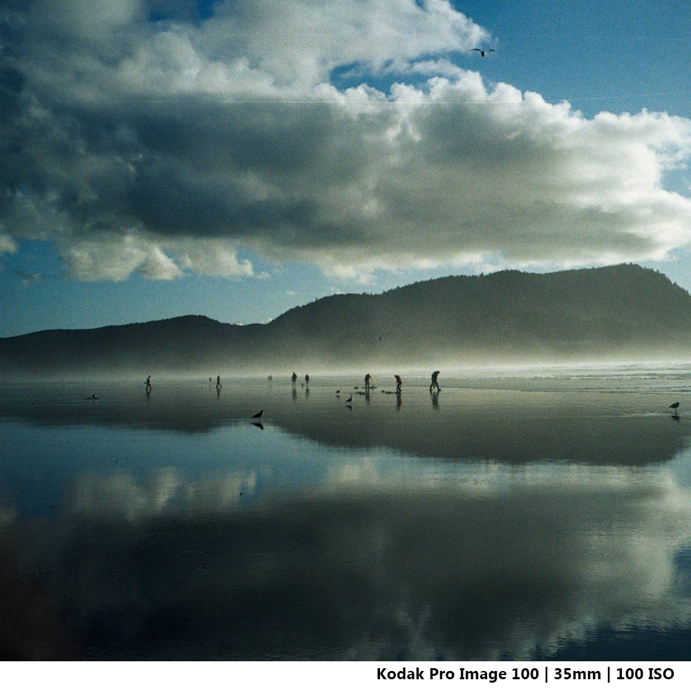 KODAK PRO IMAGE 100 (5 Pack) 135 35mm 100 ISO Color Negative Film with 36 Exposure Shots and Process C-41 Print for Film Photography