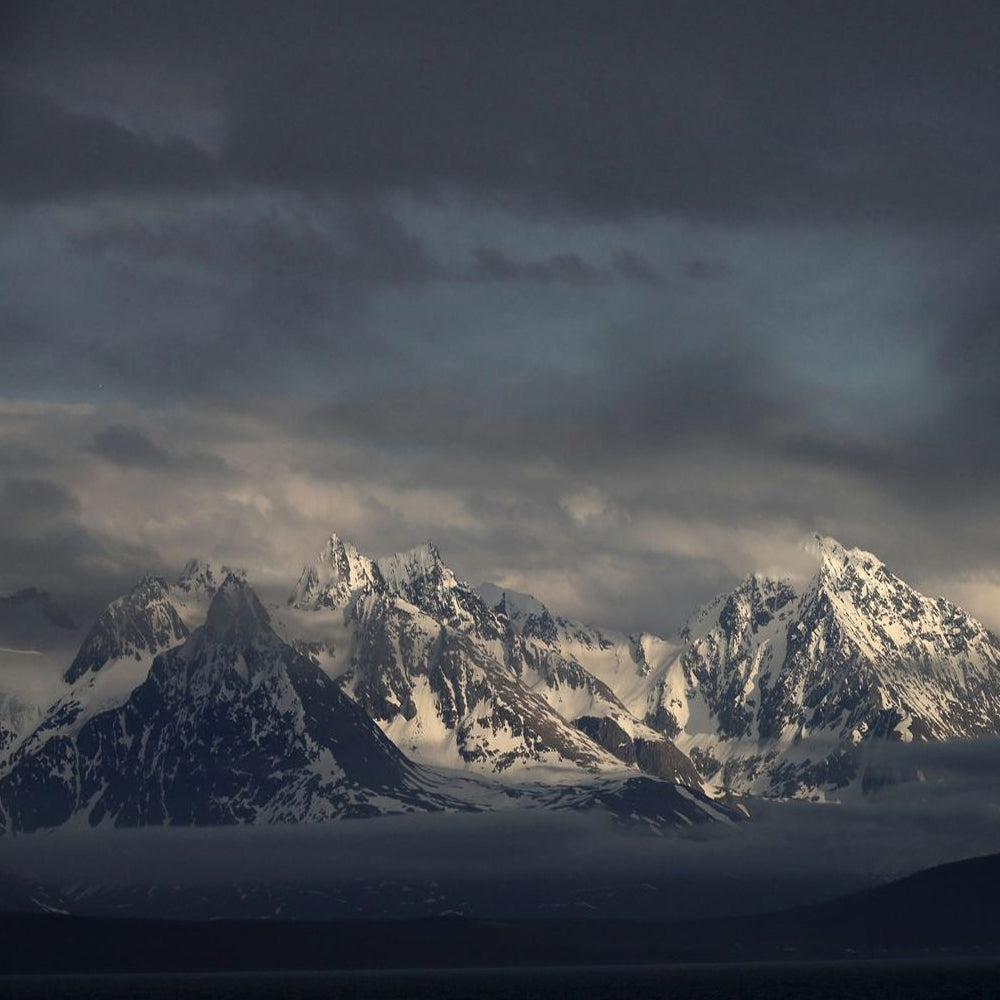 Canon RF 24-240mm f/4-6.3 IS USM Wide-angle to Medium Telephoto Zoom Lens for RF-Mount Full-frame Mirrorless Digital Cameras