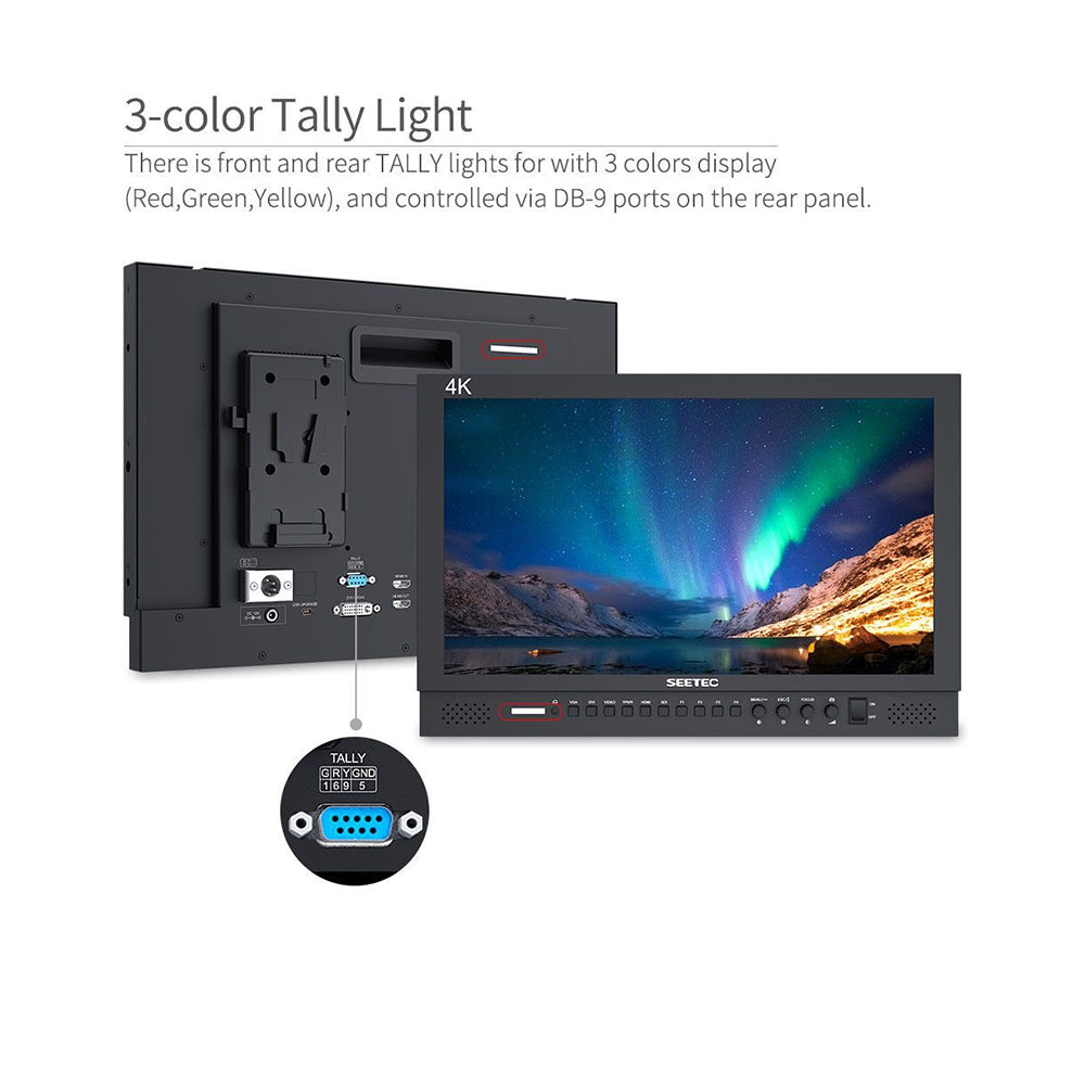Feelworld SEETEC Full HD 17.3" Broadcast LCD Monitor 1920×1080 with Color Calibration, 3G-SDI, 4K HDMI, Audio, Video, DVI Input, Multiple Shooting and Panel Button Function for Film & Broadcasting | P173-9HSD