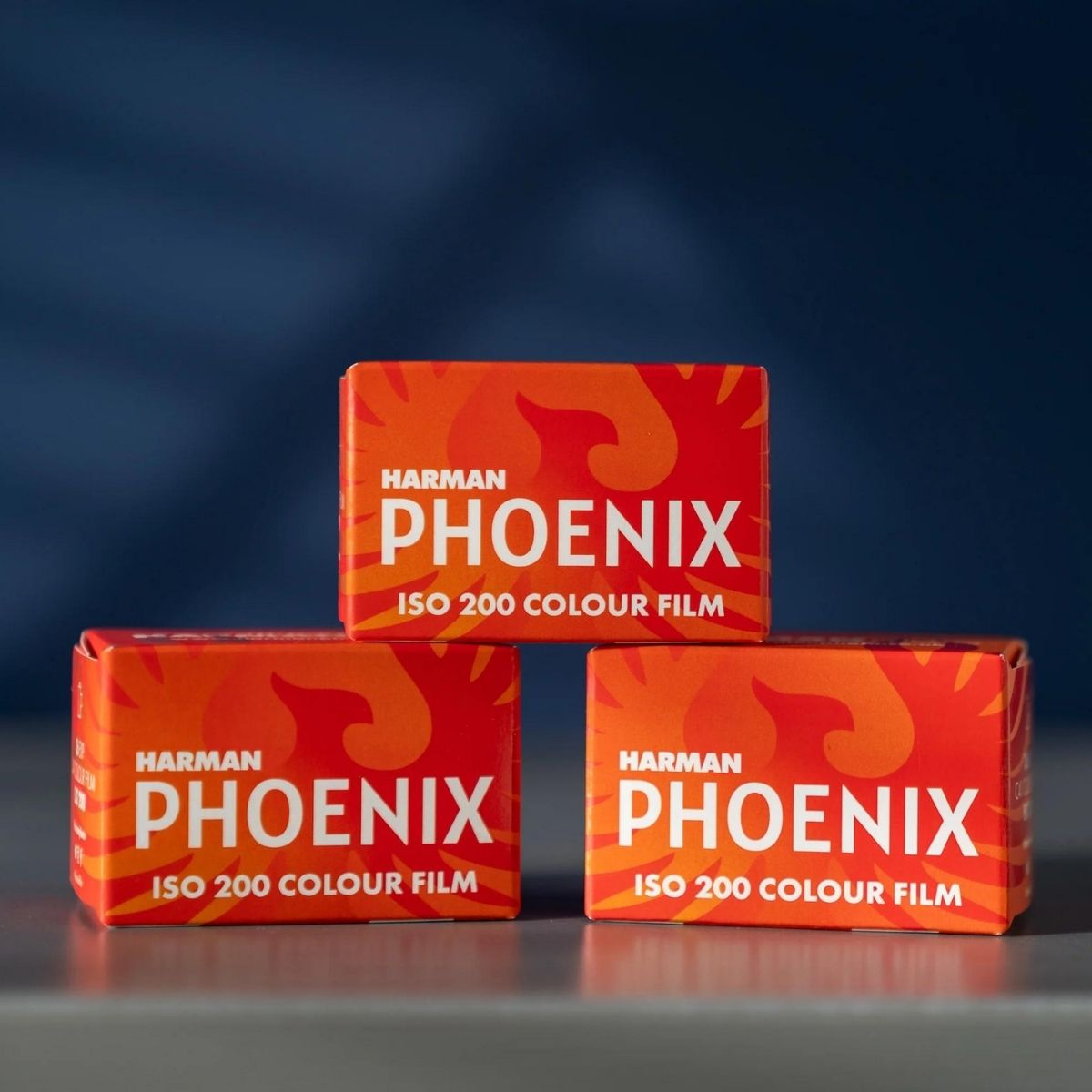 ILFORD Harman Phoenix 200 35mm ISO Medium Speed Punchy Vibrant Color High Grain Negative Film with 36 Exposures for Film Camera Photography