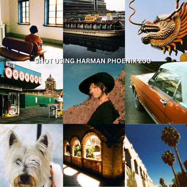 ILFORD Harman Phoenix 200 35mm ISO Medium Speed Punchy Vibrant Color High Grain Negative Film with 36 Exposures for Film Camera Photography