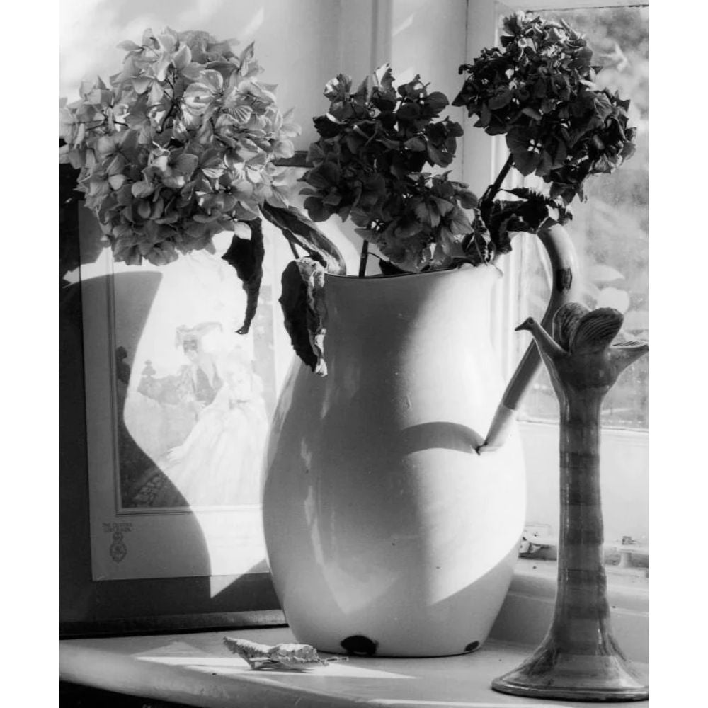 ILFORD XP2 Super 135 35mm ISO 400 Black and White Negative Film with 36 Exposures, Very Wide Exposure Latitude, Fine Grain, Sharpness and C41 C-41 Print Process for Film Photography