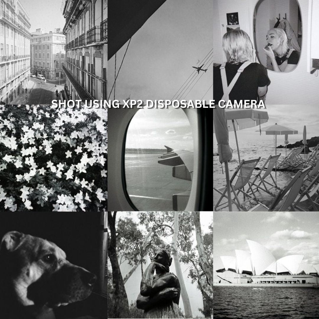 ILFORD XP2 Super Black and White Disposable Camera with 27 Exposures, ISO 400, 35mm Film Format, C41 C-41 Film Format and Built-In Flash for Point and Shoot Photography