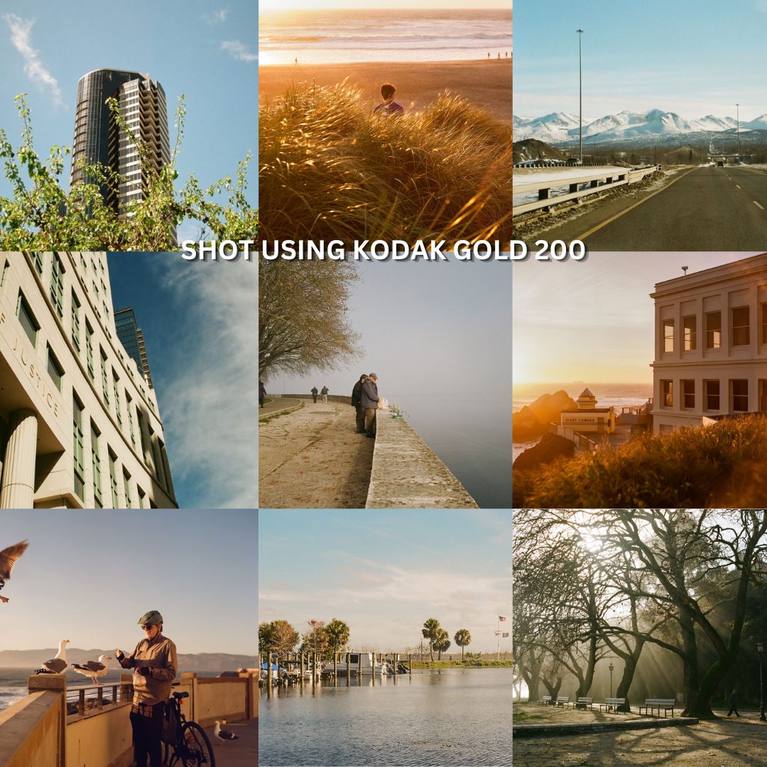 KODAK Gold 200 135 35mm Color Print Negative Film with 36 Exposures Shots, Process C-41 for Film Photography