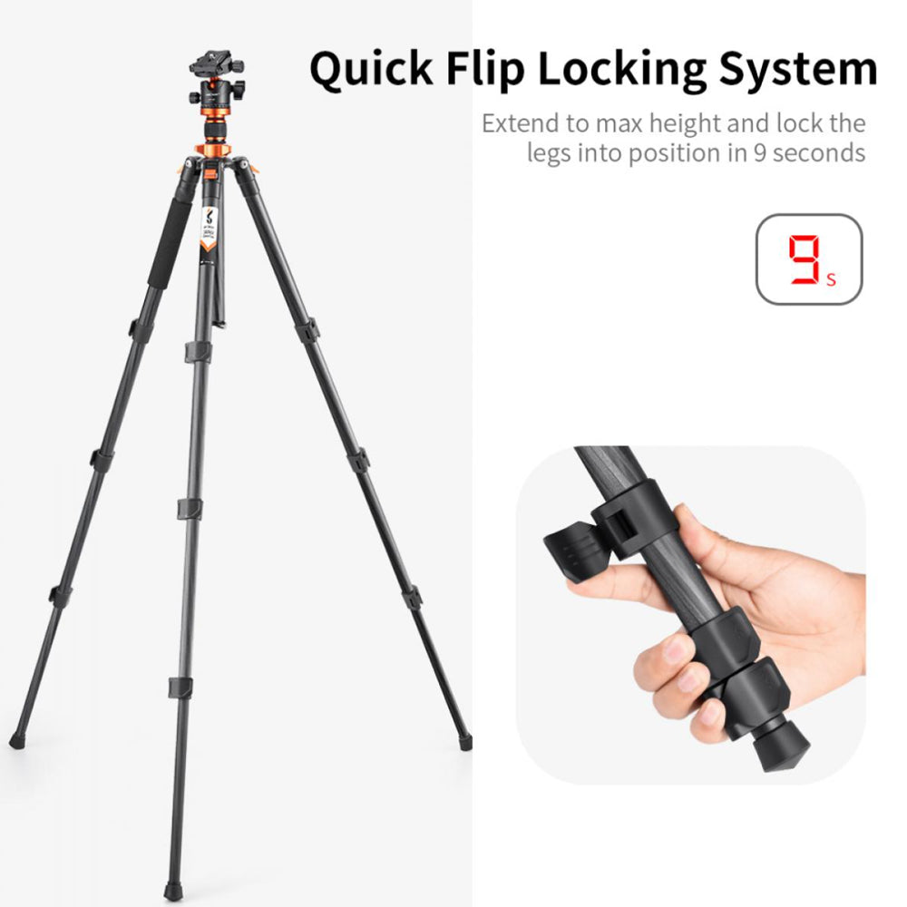 K&F Concept BH-28L Carbon Fiber Tripod with Monopod Function, Quick Release Plate, 28mm Metal Ball Head, 160cm Max Height, 10kg Payload Capacity for Digital Camera, Camcorder, Clip Phone Holder, Video Fill Light, Photography | KF09-109