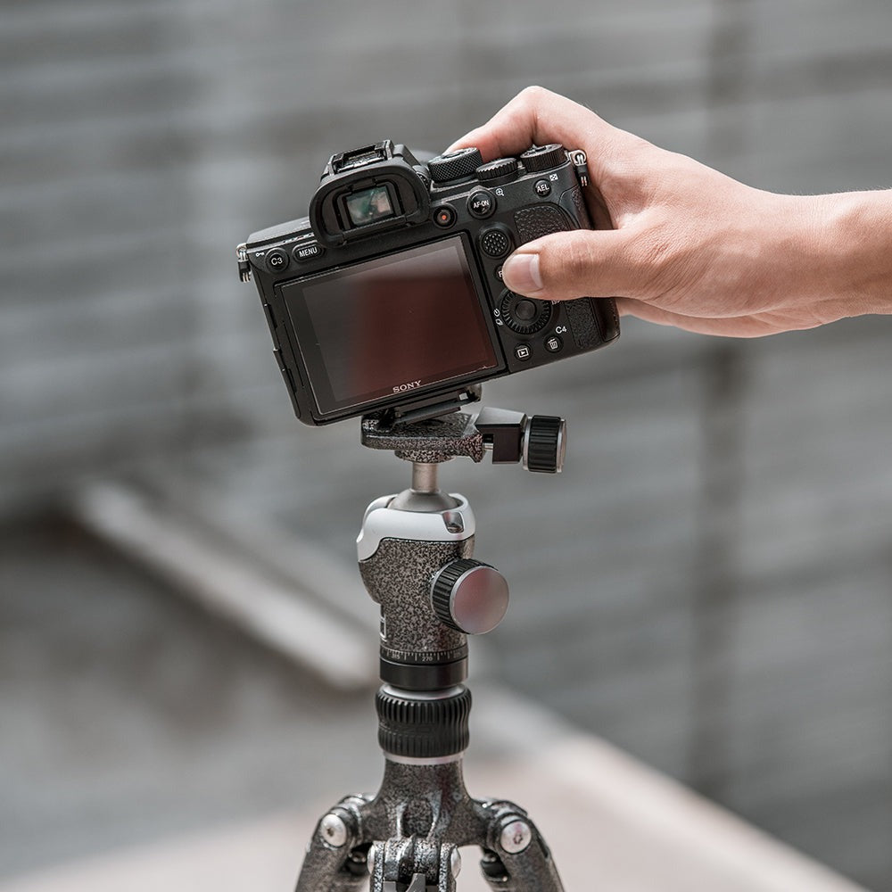 PGYTECH Beetle Camera Clip for Backpack Strap and Waist Belt with SpLock Plate and Arca-Type Clamp with Up to 25kg Load Capacity | P-CG-040