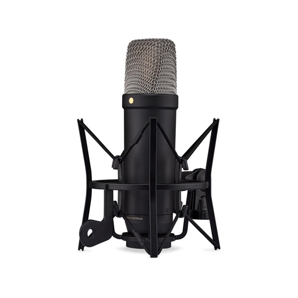 Rode NT1 5th Generation Cardioid Condenser Large Diaphragm Microphone with Analog XLR / Digital USB Type-C Dual Connect Ports, Revolution Preamp and On-board DSP for APHEX and USB Bus / Phantom Powered for Recording, Streaming, Podcasting | Silver, Black