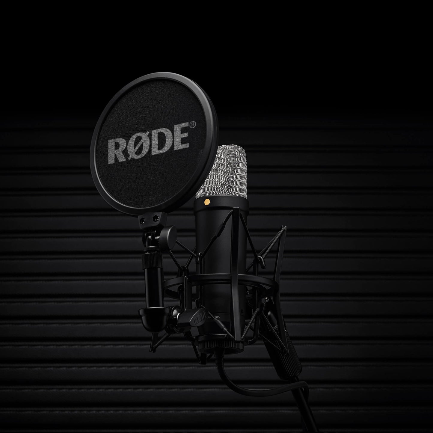 Rode NT1 5th Generation Cardioid Condenser Large Diaphragm Microphone with Analog XLR / Digital USB Type-C Dual Connect Ports, Revolution Preamp and On-board DSP for APHEX and USB Bus / Phantom Powered for Recording, Streaming, Podcasting | Silver, Black