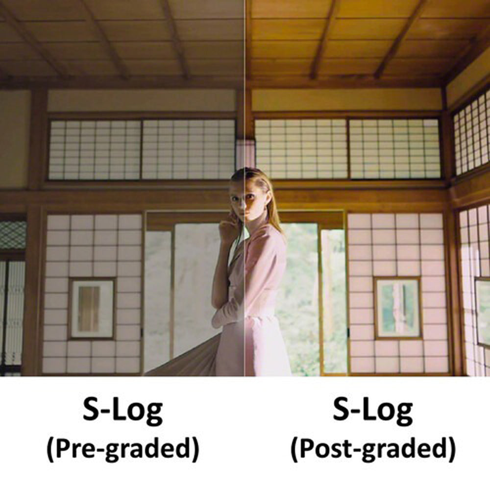 Sony Alpha A7S III Mirrorless Digital Camera Body E-Mount with 12.1MP Full Frame CMOS Sensor, 4K 120p HDR Video, BOINZ XR, Real-Time Eye AF, Touch Screen Display, 5-Axis Sensor-Shift Image Stabilization ILCE-7SM3