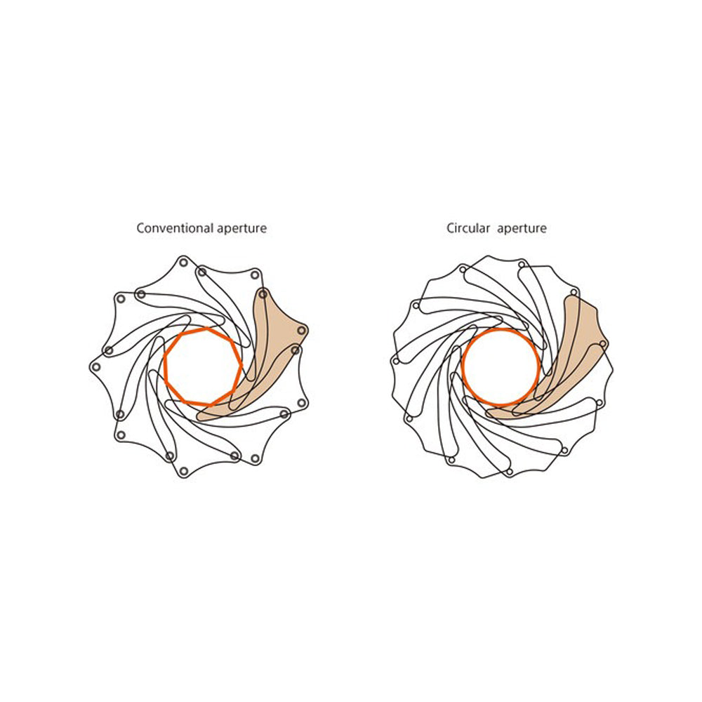 Sony FE 24mm f/1.4 G Master Prime Lens with Internal Focus for E-Mount Full-Frame Mirrorless Digital Camera | SEL24F14GM