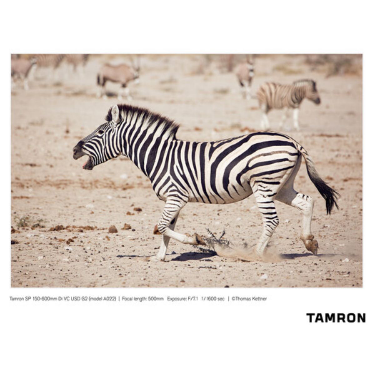 Tamron SP 150-600mm f/5-6.3 Di VC USD G2 Nikon F-Mount Full Frame AF Autofocus Super Telephoto Lens with FLEX ZOOM LOCK Function for DSLR Cameras | A022 / A022N