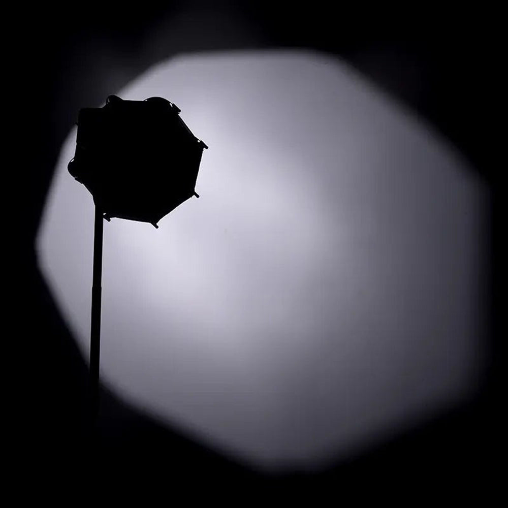 Ulanzi AS-D30 30cm Octagonal Softbox with Mini Bowens Mount Grid, Inner and Front Diffuser, Fabric Grid, Carrying Bag for LT028 40W And LT005 60W Video Light | L083GBB1