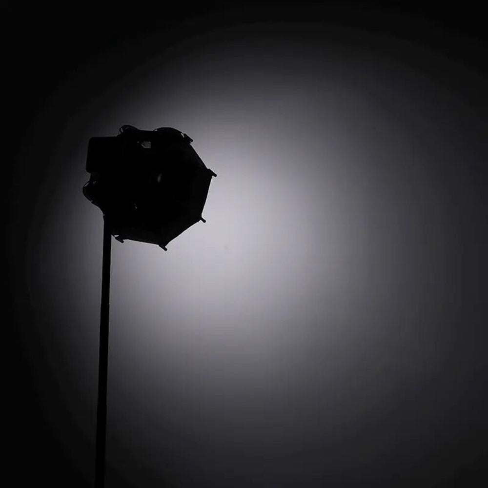 Ulanzi AS-D30 30cm Octagonal Softbox with Mini Bowens Mount Grid, Inner and Front Diffuser, Fabric Grid, Carrying Bag for LT028 40W And LT005 60W Video Light | L083GBB1