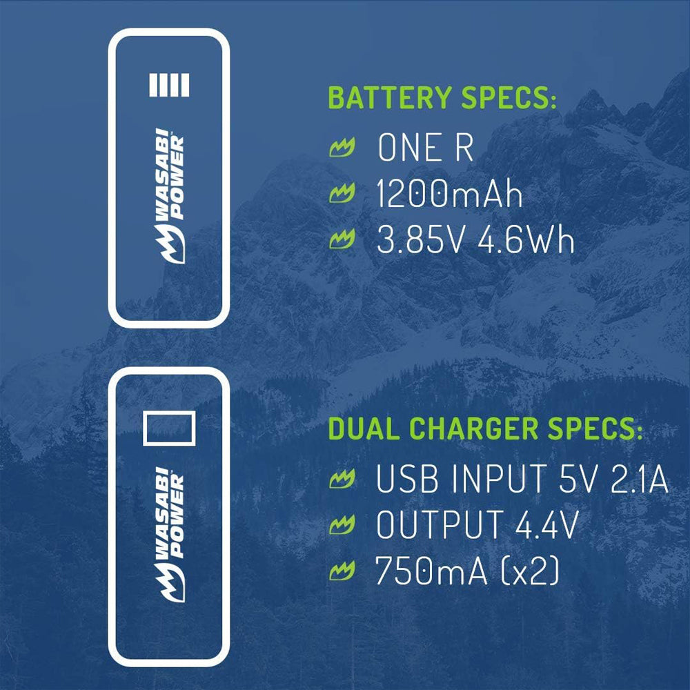 Wasabi Power Insta360 ONE R / ONE RS Action Camera Battery and Dual Charger Kit with Micro USB and Type-C Charging Ports, Spare for CINORBT/A