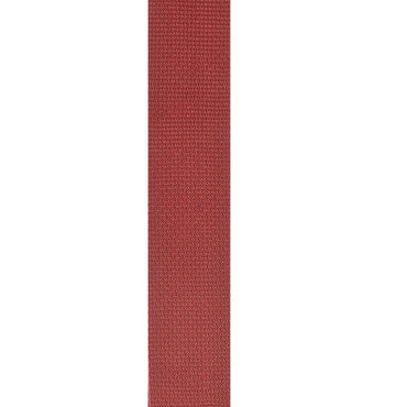 Planet Waves 39" x 69" Polypropylene 2" Guitar Strap with Strong and Secure Leather Ends (Black, Red, Blue, Silver) | PWS