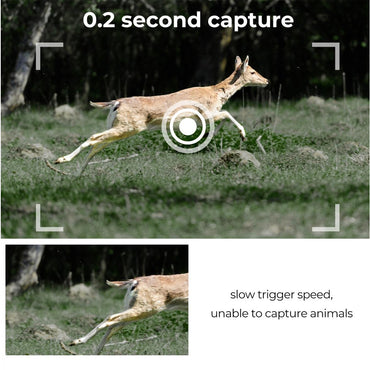 K&F Concept A101XS Outdoor Wildlife Trap Trail Camera Waterproof with High-Definition 1296P Video 24MP Photo, 120° Wide Angle Motion Detector Sensor, IR Night Vision, High-Speed Trigger Timing