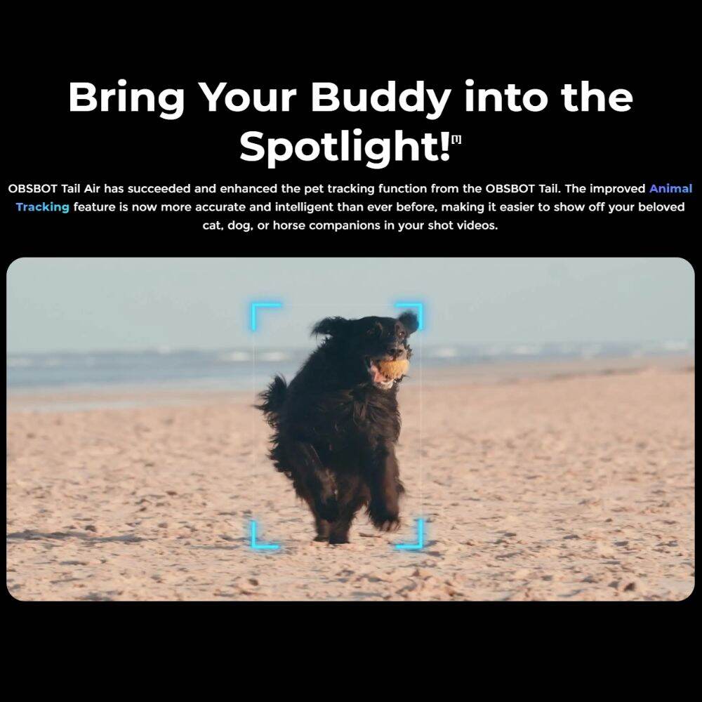 OBSBOT Tail Air AI-Powered 4K PTZ Streaming Camera with Intelligent Auto Tracking, 4x Zoom, Multi-Cam Support, NDI | HX3 Connectivity, 2-Axis Gimbal, Dual Omnidirectiol Microphones, and Supports Windows and macOS for Computers & Laptops