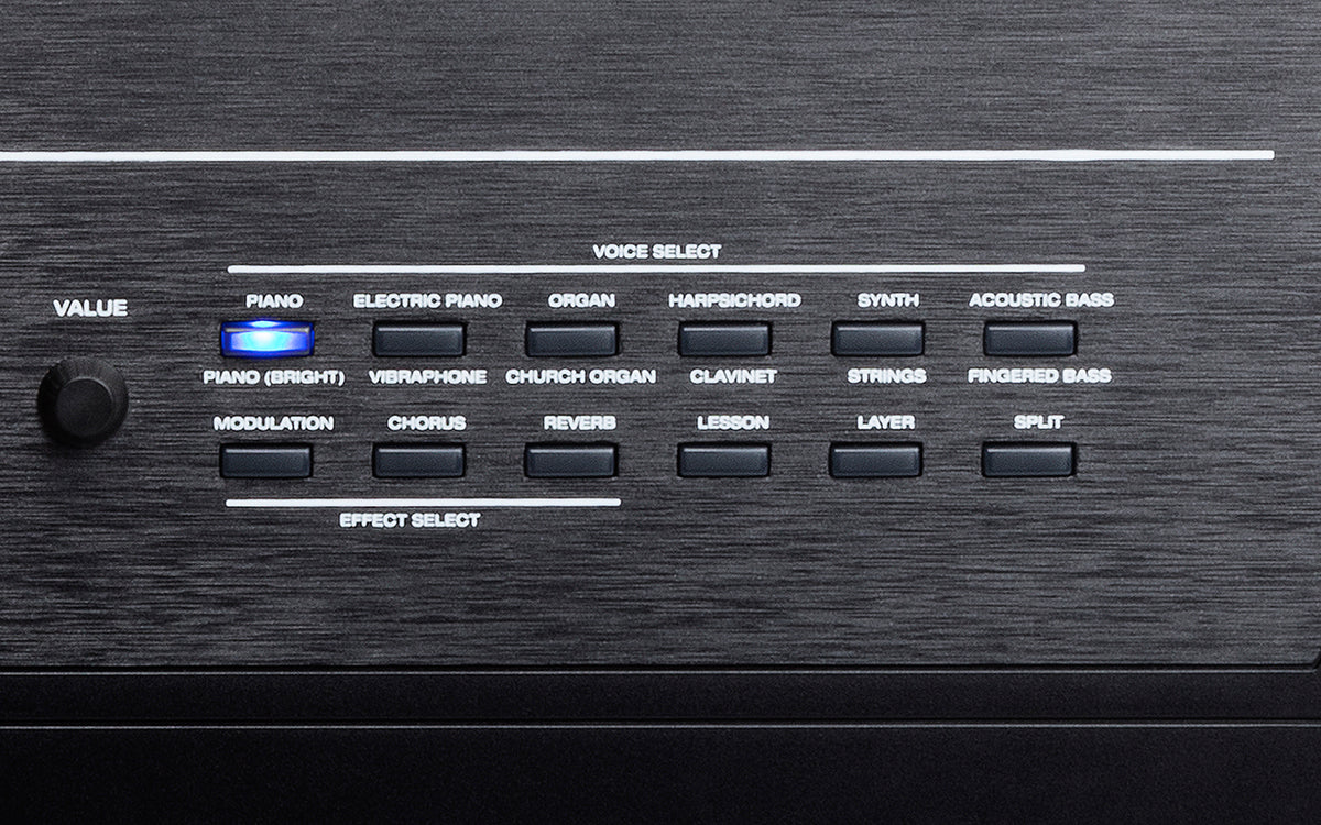 Alesis Recital Stage Pro 88-Key Full Size Digital Piano Electric Keyboard with Hammer-Action Keys Power Adopter Music Rest