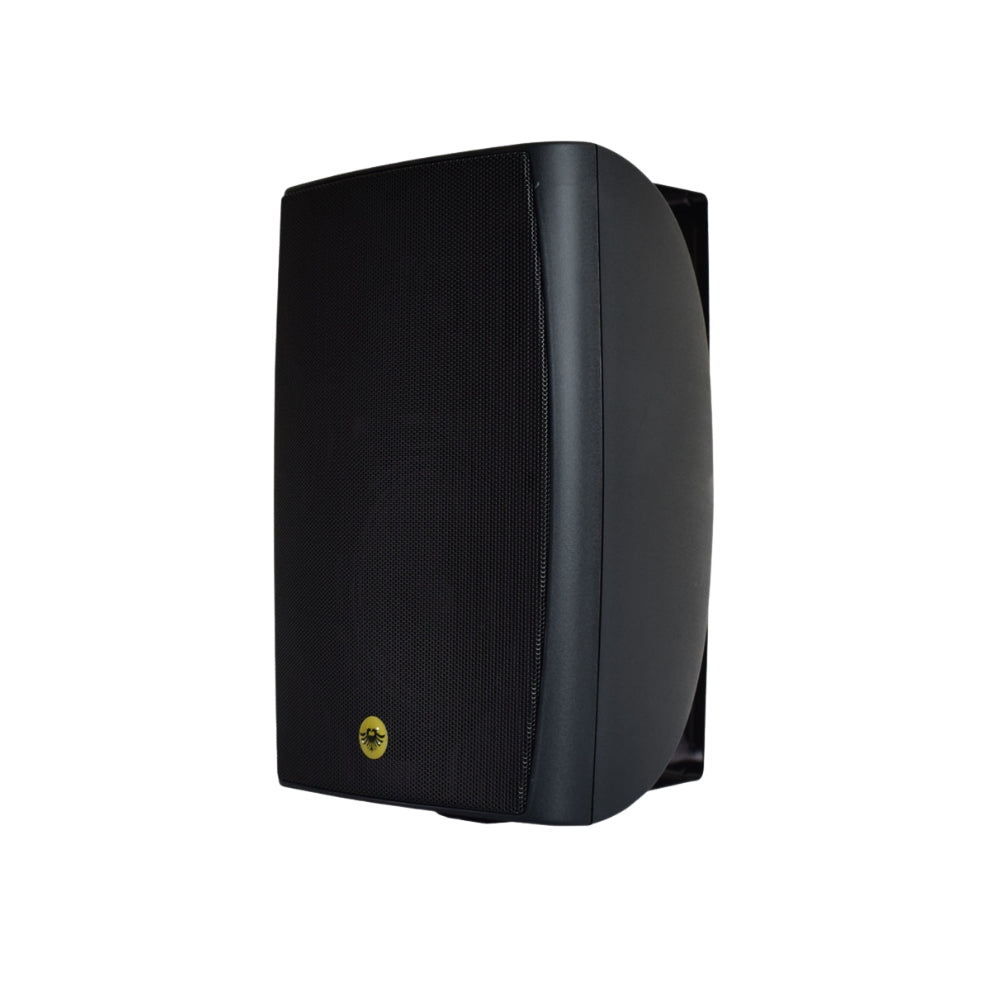 WS 9T Wall Speakers