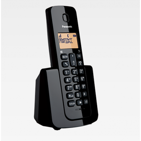 PANASONIC KX-TGB112 Wireless Telephone Digital Cordless Phone with Multiple Name and Number Phonebook and Multiple Redial Numbers 2 Handsets
