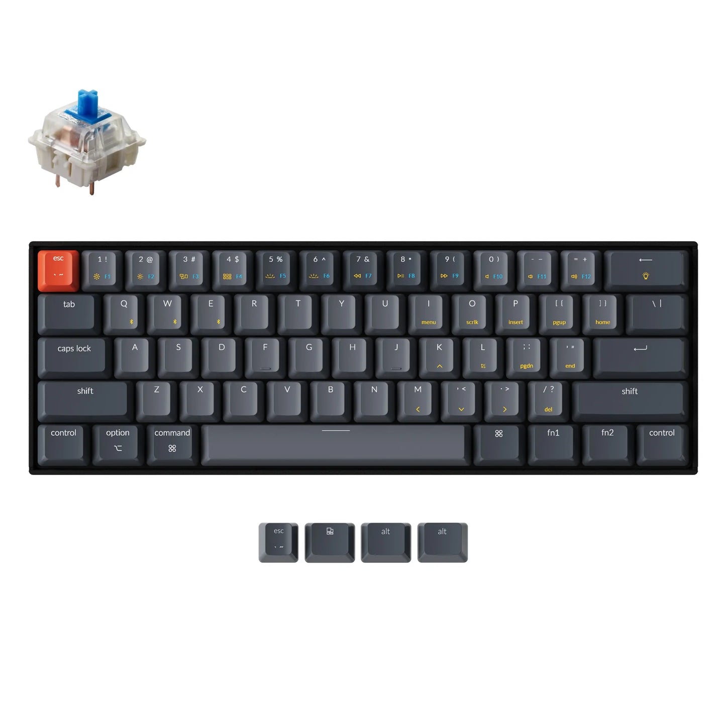 Keychron K12 61 Keys Compact Bluetooth Wireless / Wired TKL Tenkeyless Mechanical Keyboard with RGB Backlight and Hot-Swappable Switches for Mac and Windows PC Computer (Blue Clicky, Brown Tactile) K12H2 K12H3