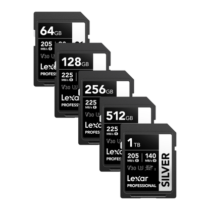 Lexar Professional SILVER SDXC V30 U3 UHS-I Memory Card | 64GB / 128GB / 256GB / 512GB / 1TB