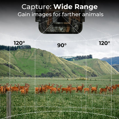 K&F Concept A101XS Outdoor Wildlife Trap Trail Camera Waterproof with High-Definition 1296P Video 24MP Photo,  120° Wide Angle Motion Detector Sensor, IR Night Vision, High-Speed Trigger Timing