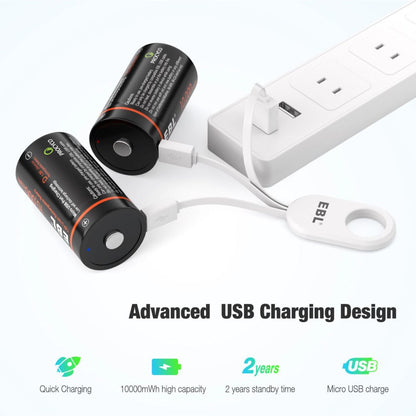 EBL TB-1448 1.5V D Cell 10000mWh High-Performance Rechargeable Li-Ion Lithium Ion Battery with Built-In Micro USB Port for Portable and EUPDATEncy Electronics