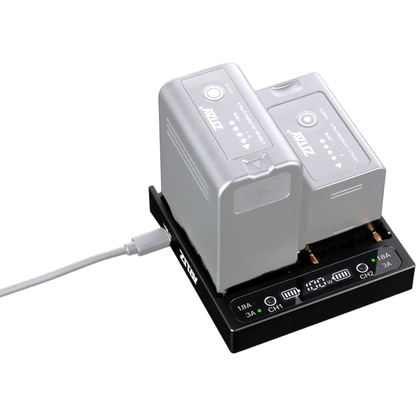 ZITAY PD100W 2-Channel 100W USB-C Charger for BP-A30/A60, BP-U30/U6 & U90