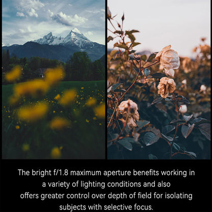 7Artisans 25mm F/1.8 APS-C Format M43 Micro Four Thirds Mount Compact Portrait Prime Lens MF Manual Focus for Mirrorless Cameras | Black Silver