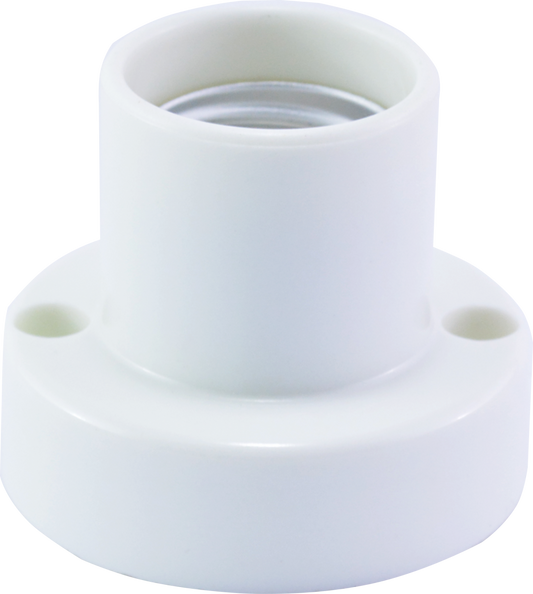 [CLEARANCE] OMNI E27 Ceiling Receptacle Light Bulb 6A 220V (2 1/4" Diameter) with Screw