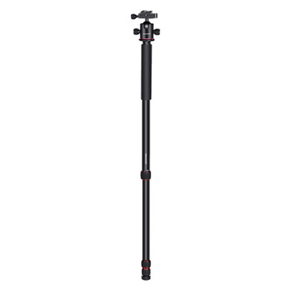 Neewer N284L+G0 79 Inches Camera Tripod Monopod with Aluminum Alloy 360° Panorama Ball Head and Vertical / Horizontal Center Column, 15Kgs Load Capacity, Quick Release Section Legs for Photography, Videography & Content Creation | 10097262