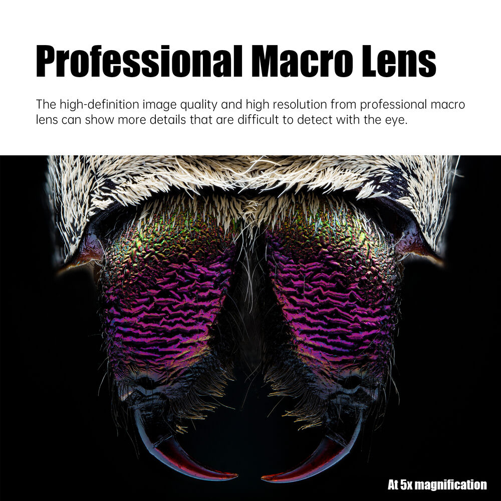 AstrHori 25mm F2.8 Full-Frame Ultra Macro Prime Lens for Sony E, Fujifilm X, Panasonic / Leica L, Canon RF Mount Mirrorless Digital Cameras with 2x–5x Magnification, Manual Focus, Sharp ED Optics, Compact Lightweight Design for Photography