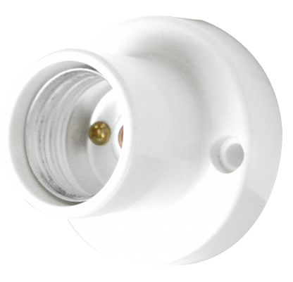 [CLEARANCE] OMNI E27 Ceiling Receptacle Light Bulb 6A 220V (2 1/4" Diameter) with Screw