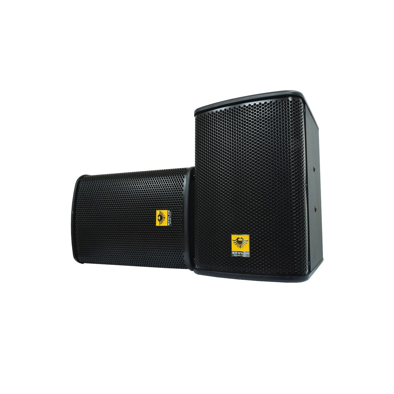 KEVLER KR-310 10" 450W 2-Way Bass Reflex Passive Karaoke Loudspeakers (PAIR) with Built-In Pole and Ceiling Bracket Mounting Ports, 4 Layer Voice Coil Woofer for Vocal and Bass Sound Reinforcement
