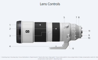 Sony 200 600 Sony A6600 Wildlife Photography Sony FE 200-600mm OSS