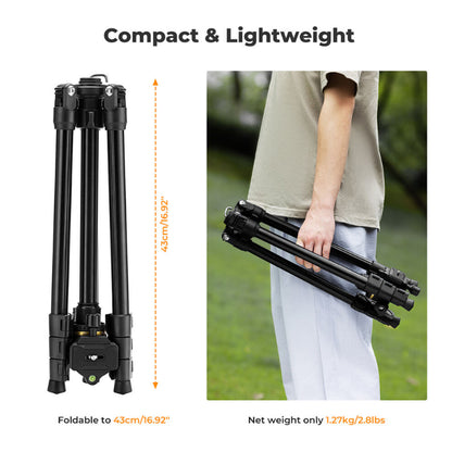 K&F Concept Aluminum Camera Tripod with Arca-Type Quick Release Ball Head & Smartphone Holder - 178cm Max Height, 8kg Load Capacity, 4-Section Legs with Flip Locks for DSLR, Mirrorless & Smartphones