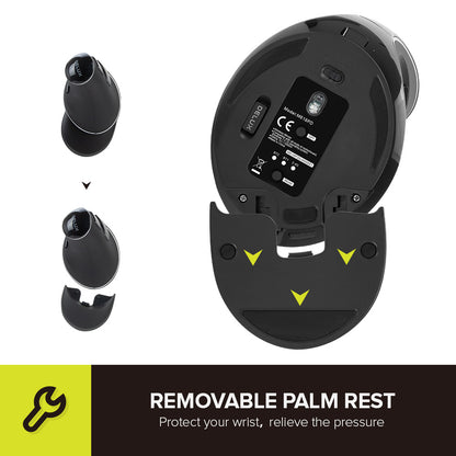 [CLEARANCE] Delux M618PD Wireless Bluetooth Optical Ergonomic Vertical Mouse 2.4GHz Snail Bionic Structure with Palm Rest, 4000 DPI, USB Nano Receiver Rechargeable (Black) for Windows and macOS