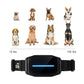 Dog Care AB01 Automatic Smart Bark Collar Controller with 5 Level Intelligent Bark Control Sensitivity, Dual Anti-Bark Modes, LED Light Indicator and Intelligent Noise Filtering