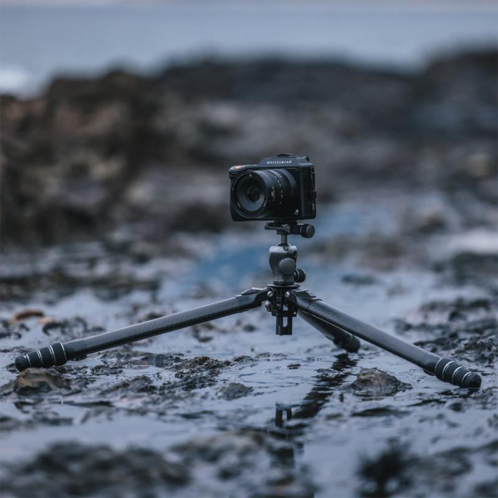 Falcam TreeRoot Carbon Fiber Fast Locking System Travel Tripod with 320P Inverted Ball Head & QR Quick Release Center Column, 20kg Maximum Load Capacity & 1.52m Height, Multifunctiol Hook for DSLR, SLR, Mirrorless Cameras | T00A4301 T00A4302 F38B4303