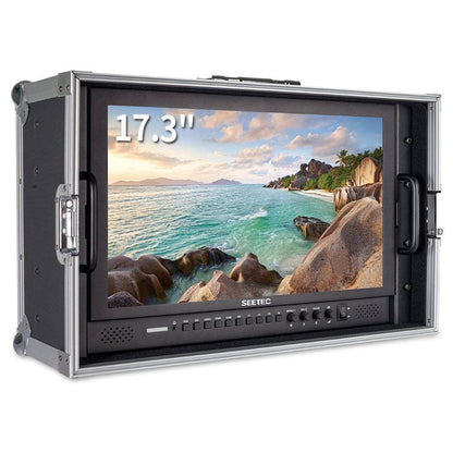 Feelworld SEETEC Full HD 17.3" Broadcast Carry-On LCD Monitor 1920×1080 with Color Calibration, 3G-SDI, 4K HDMI, Audio, Video, DVI Input, Multiple Shooting and Panel Button Function for Film & Broadcasting | P173-9HSD-CO