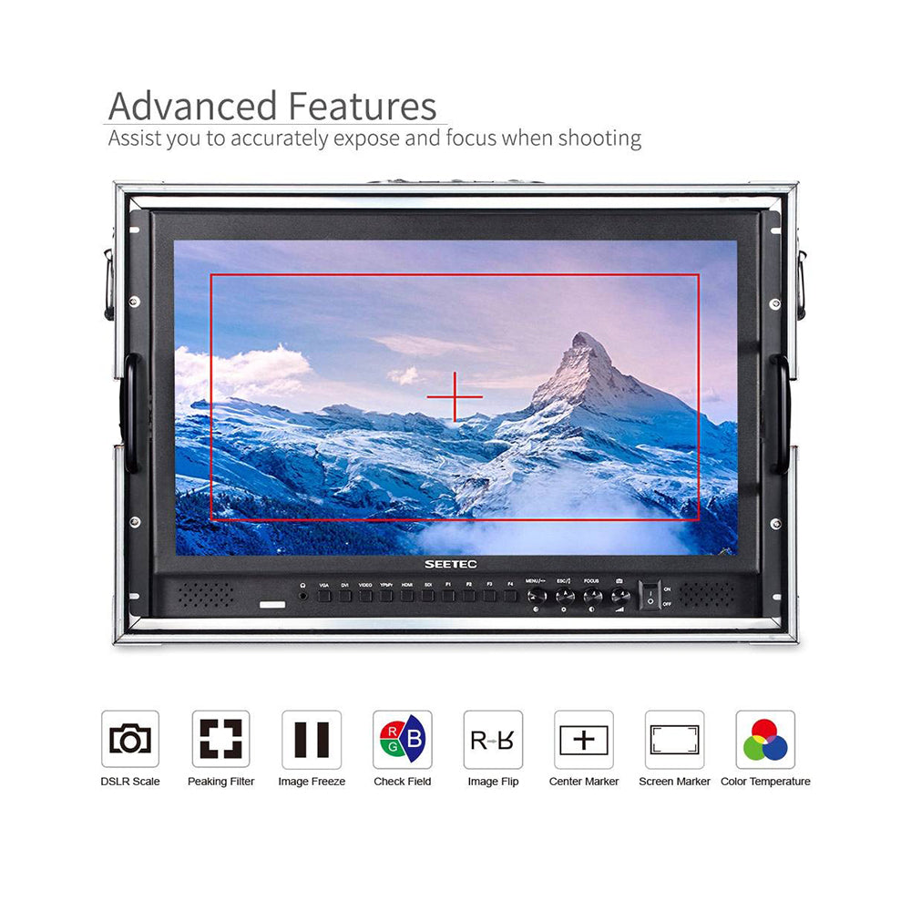 Feelworld SEETEC Full HD 17.3" Broadcast Carry-On LCD Monitor 1920×1080 with Color Calibration, 3G-SDI, 4K HDMI, Audio, Video, DVI Input, Multiple Shooting and Panel Button Function for Film & Broadcasting | P173-9HSD-CO