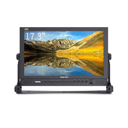 Feelworld SEETEC Full HD 17.3" Broadcast LCD Monitor 1920×1080 with Color Calibration, 3G-SDI, 4K HDMI, Audio, Video, DVI Input, Multiple Shooting and Panel Button Function for Film & Broadcasting | P173-9HSD