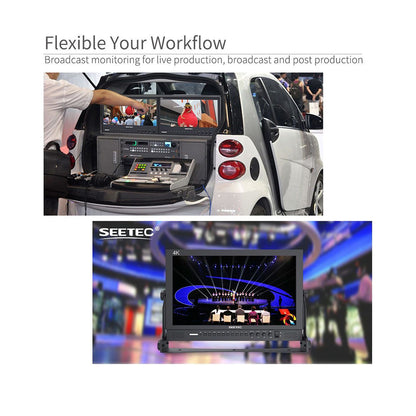 Feelworld SEETEC Full HD 17.3" Broadcast LCD Monitor 1920×1080 with Color Calibration, 3G-SDI, 4K HDMI, Audio, Video, DVI Input, Multiple Shooting and Panel Button Function for Film & Broadcasting | P173-9HSD