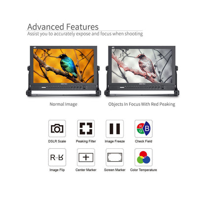Feelworld SEETEC Full HD 17.3" Broadcast LCD Monitor 1920×1080 with Color Calibration, 3G-SDI, 4K HDMI, Audio, Video, DVI Input, Multiple Shooting and Panel Button Function for Film & Broadcasting | P173-9HSD