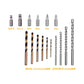 INGCO 16pcs Drill Bits and Screwdriver Bits Set (6pcs HSS Twist Drill Bits, 4pcs Masonry Drill Bits, and 6pcs 25mm Screwdriver Bits) | AKSDB9165